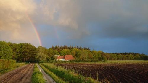 De pot met goud ligt dus hier!!!!